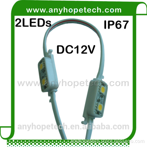 World class quality 2LEDs 0.48W led module 5050